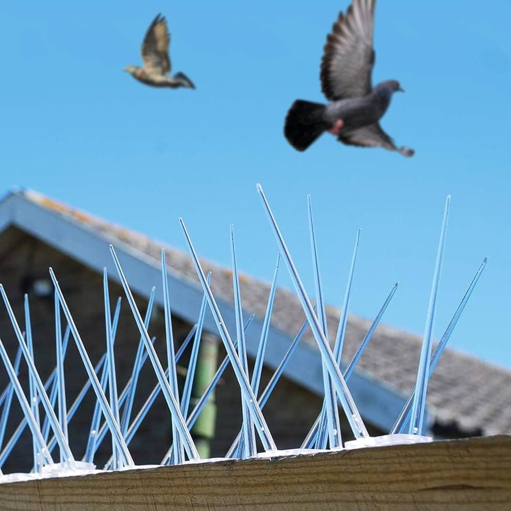 Bird Spikes Installation
