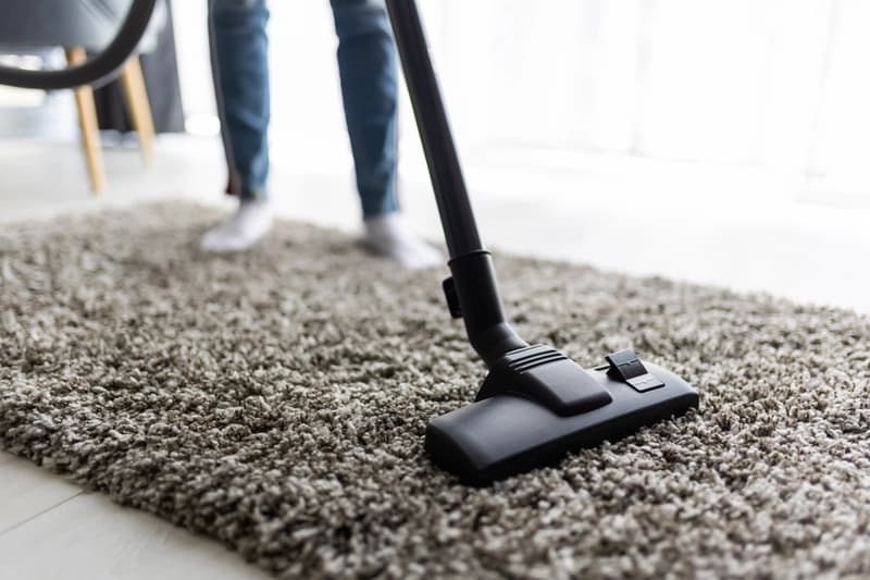 Reliable Carpet Beetle Solutions