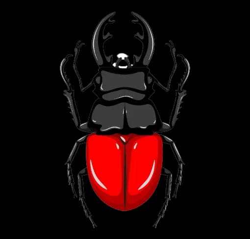 Beetles Pest Control