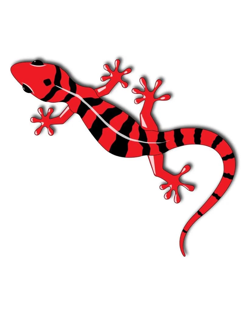 House Lizards Pest Control