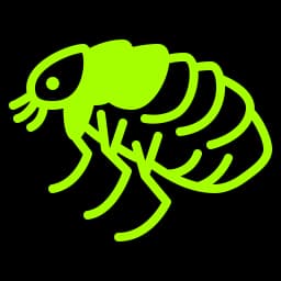 Fleas