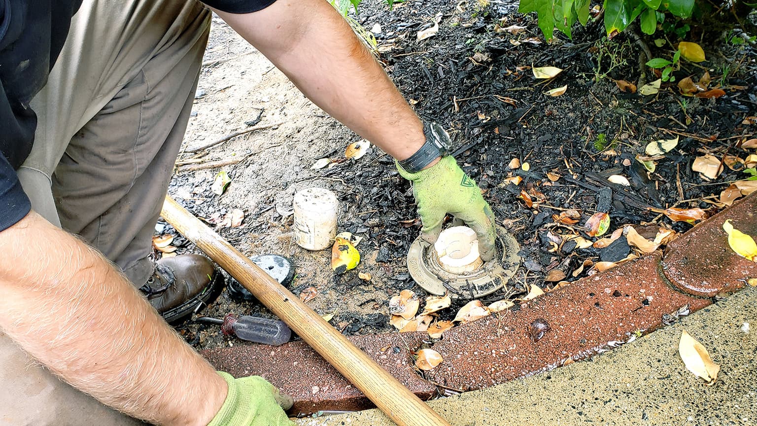 Termite Baiting Systems
